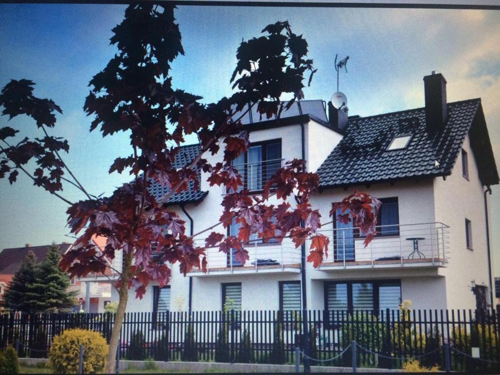 Turkus Cichy I Spokojny Pensjonat Międzywodzie Extérieur photo